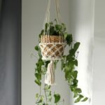 Macrame Pot Holder - Single Small Pot - Image 3