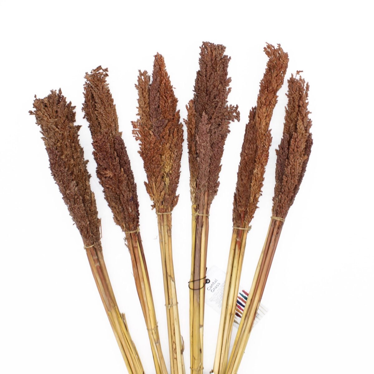 Cantal Grass Bunch - Chocolate - Image 5