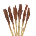 Cantal Grass Bunch - Chocolate - Image 5