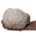 Calsite Geodes - 15-18 cm - Image 8