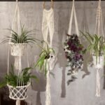 Macrame Pot Holder - Single Small Pot - Image 8