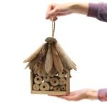 Driftwood Bee & Insect Box - Image 4