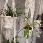 Macrame Pot Holder - Single Small Pot - Image 9