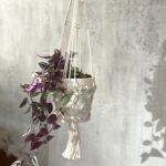Macrame Pot Holder - Single Small Pot - Image 10