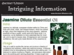 Jasmine Dilute Essential Oil Info - Image 2