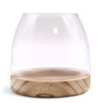 Medium Terrarium on Natural Tung Wood - Image 2