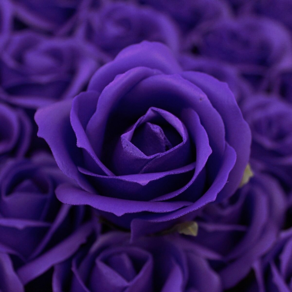 Craft Soap Flowers - Med Rose - Violet - Image 2