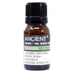 Ginger Organic Essential Oil 10ml