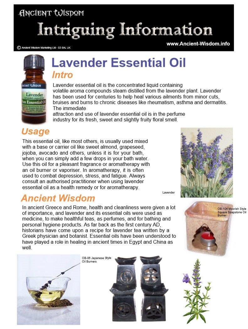 bG9jYWw6Ly9tZWRpYS9IRy82RC82MFIzMEMxRzY4VjM2REhHL2M3NjUyZDA1LmpwZWc-1.jpg Geranium Essential Oil Info - Image 1