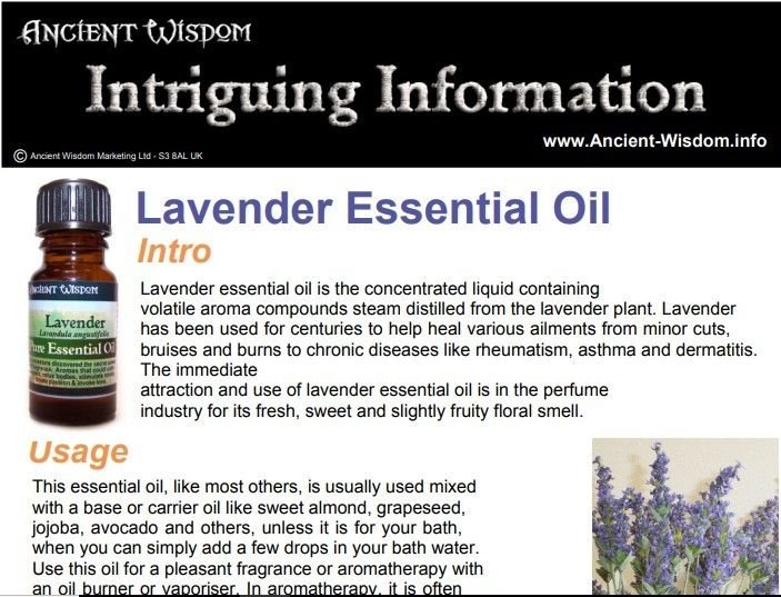 bG9jYWw6Ly9tZWRpYS9ISC82RC82MFIzMEMxRzY4VjM2REhILzljZWI3MmZmLmpwZWc.jpg Lavender Essential Oil Info - Image 1