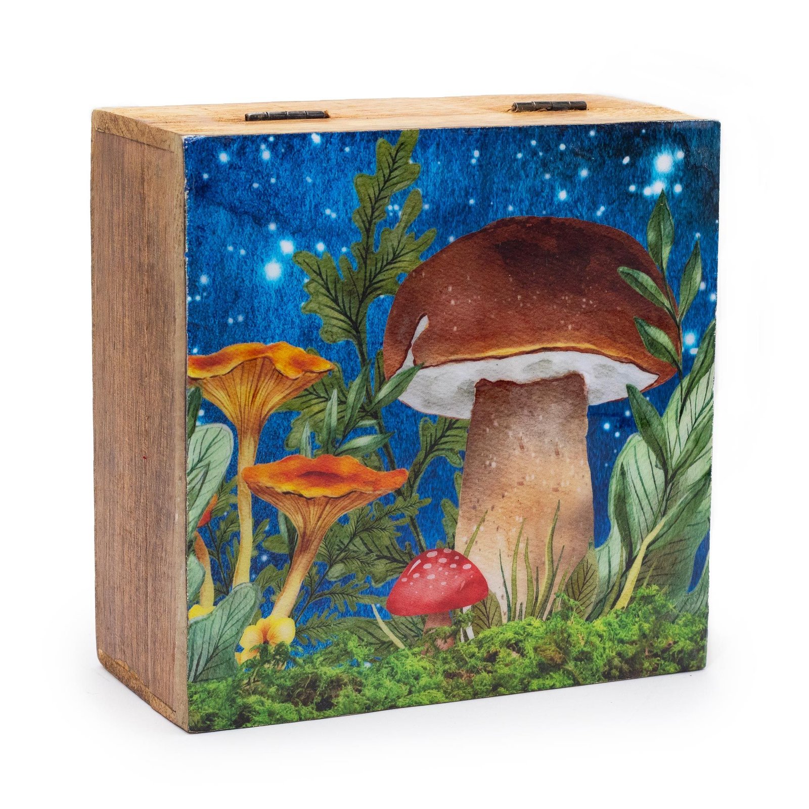 bG9jYWw6Ly9tZWRpYS9ITS82Qy82MFIzMEMxSDc0UjM2Q0hNLzQ5ZTIyMjgzLmpwZWc.jpg Big Square Box 15x17.5x8cm - Mushroom Design Teal - Image 1