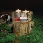 Petrified Wood Candle Holder - Double - Image 5