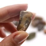 M Tumble Stone - Petrified Wood - Image 2