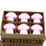 Box of 6  Wax Melts - Ylang Ylang - Image 3