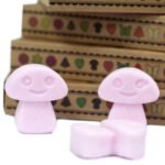 Box of 6  Wax Melts - Ylang Ylang - Image 4