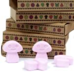Box of 6  Wax Melts - Ylang Ylang - Image 5